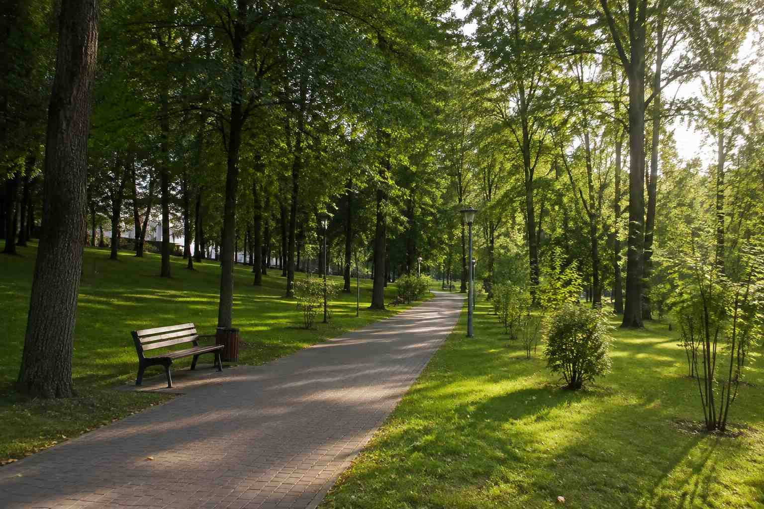 https://irkutsk.blago-s.ru/storage/app/uploads/public/6a7/eef/ed2/6a7eefed2af22038960370.jpg